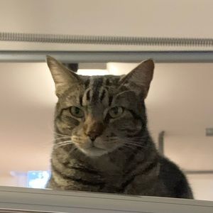 Meet your Posher, Emma